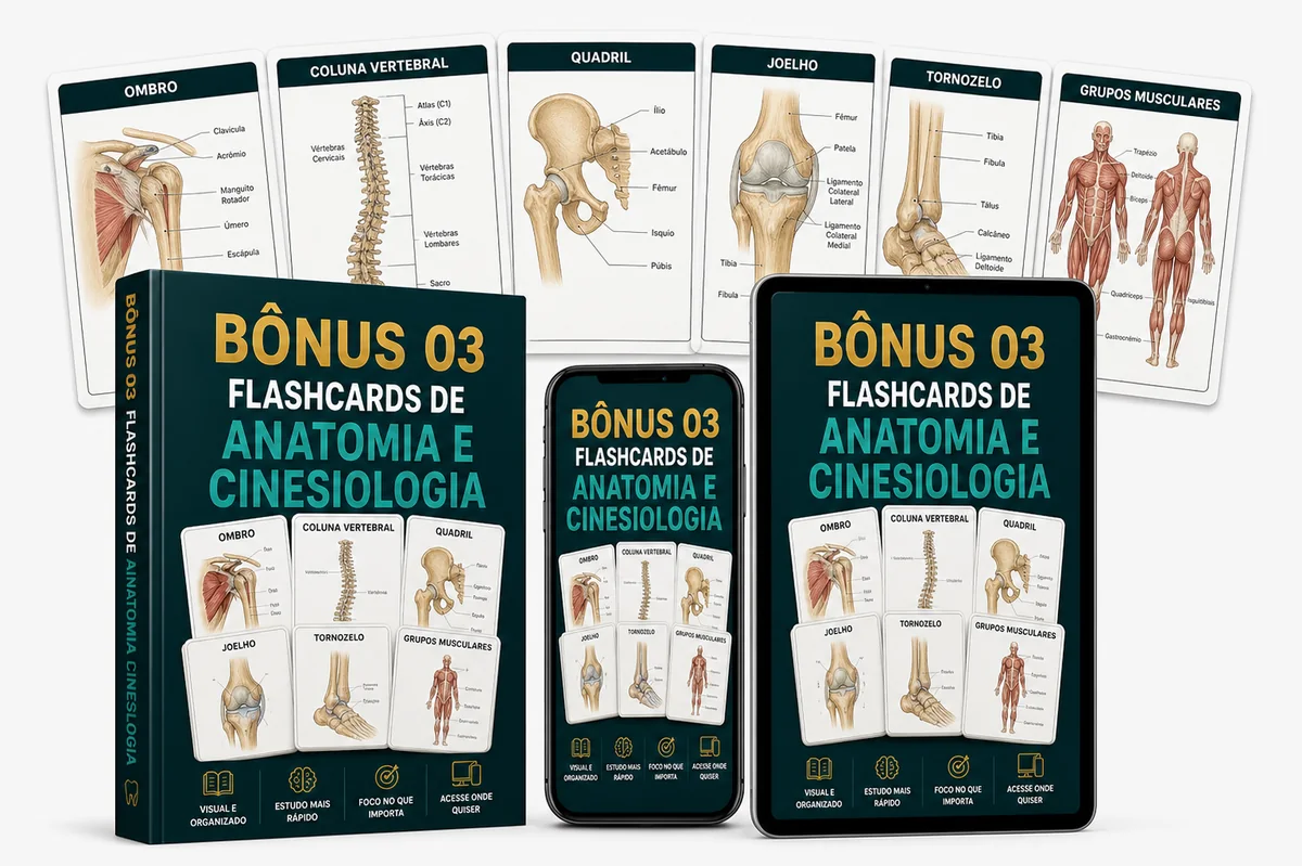 Flashcards de Anatomia e Cinesiologia